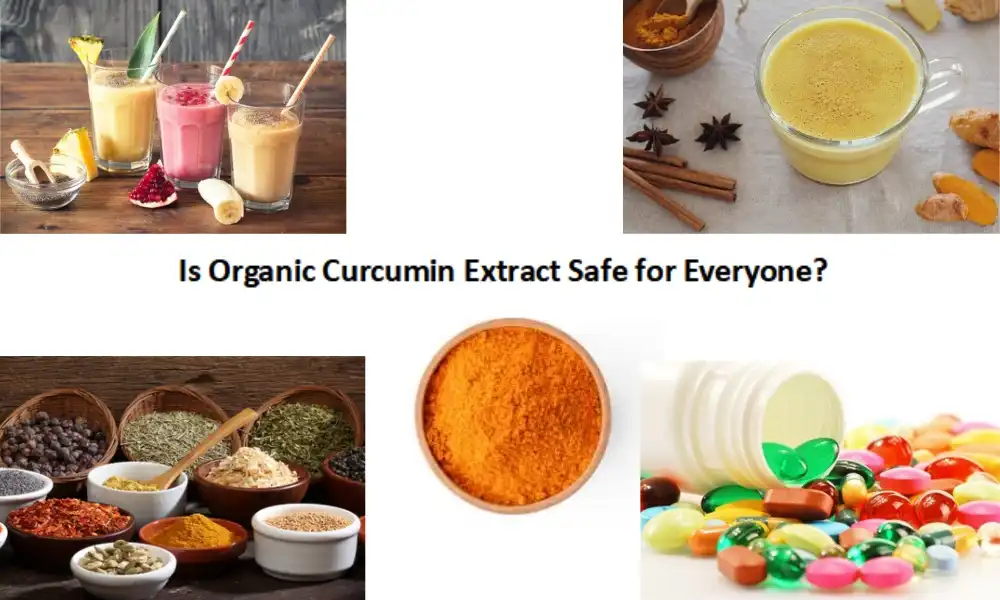 Is Organic Curcumin Extract Safe for Everyone?